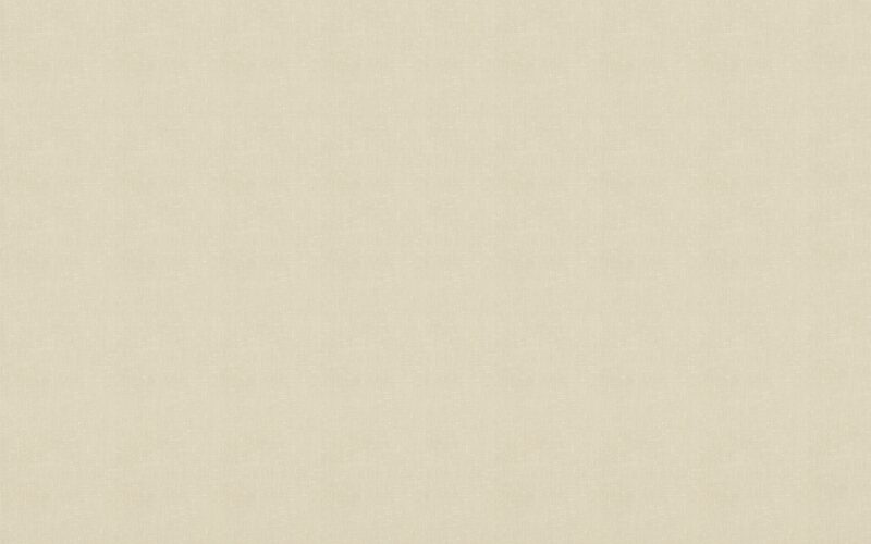 Papier peint intissé TITOUAN coloris lin