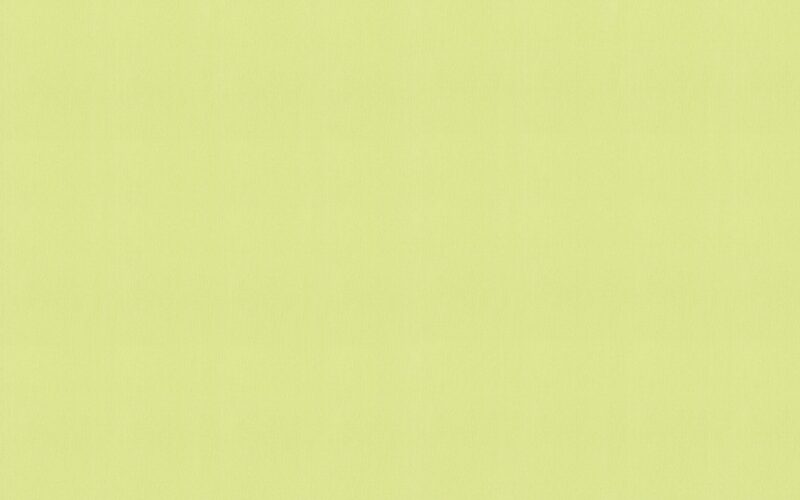 Papier peint intissé CALICO coloris vert clair
