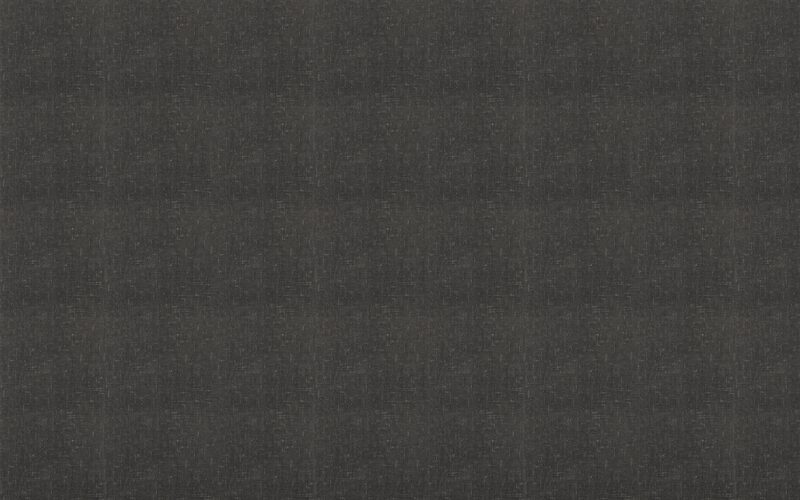 Papier peint intissé TITOUAN coloris noir