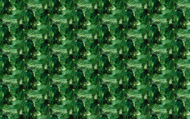 Papier peint intissé RAINFOREST coloris vert feuille