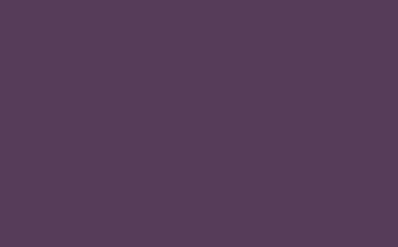 Peinture Murale MURALINE Acrylique violet Satiné 2,5 L