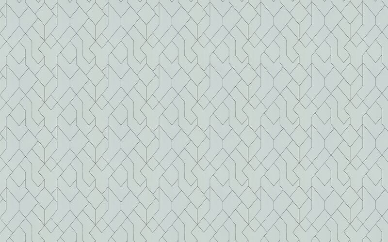 Papier peint intissé NEO coloris gris perle
