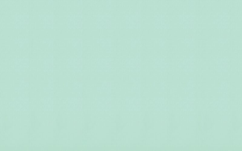 Papier peint intissé ANCÉLIA BY NYMPHEA'S FACTORY coloris menthe à l'eau