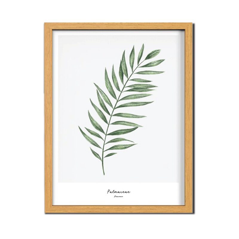 Image encadrée PALMACEAE LEAF 30 x 40 cm