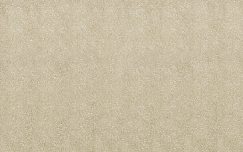 Papier peint intissé CHARMING coloris doré