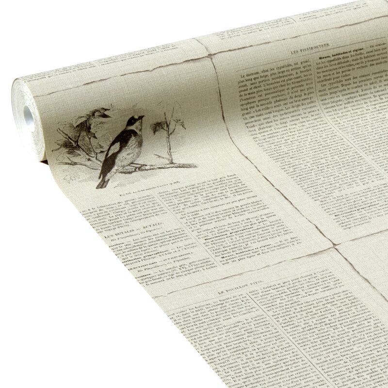 Papier peint intissé LAZY NEWS coloris cappuccino