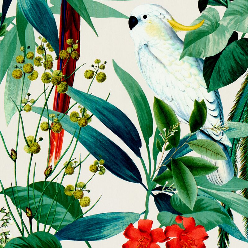 Papier peint intissé MARTINIQUE coloris blanc