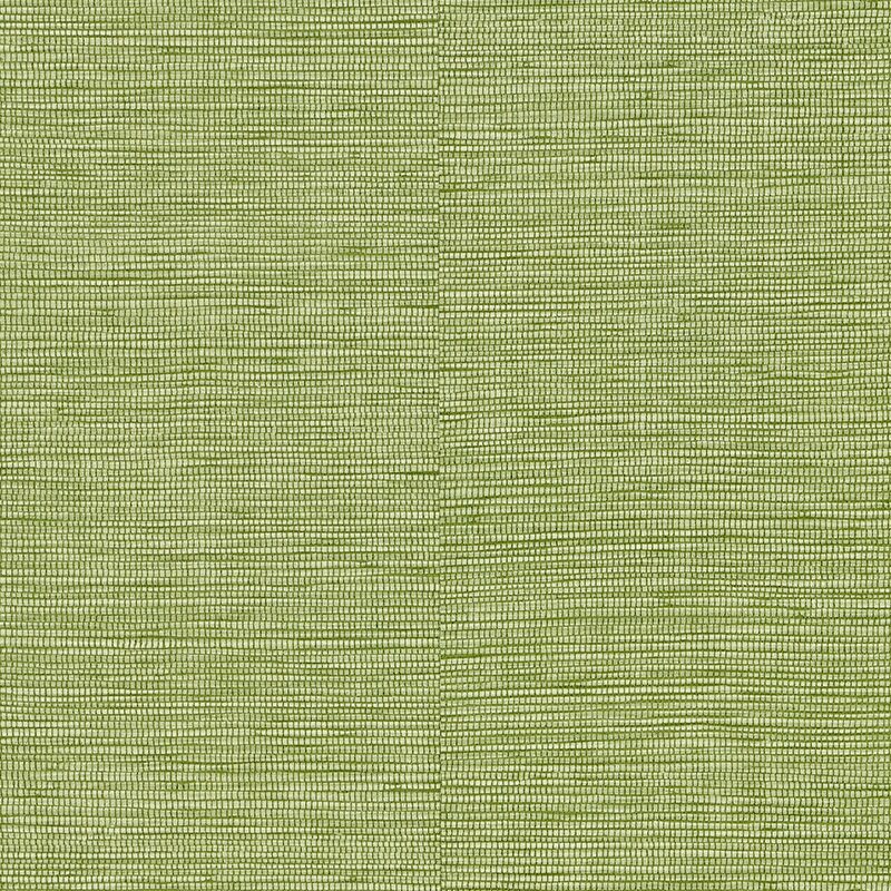 Papier peint intissé CURAÇAO coloris vert bambou