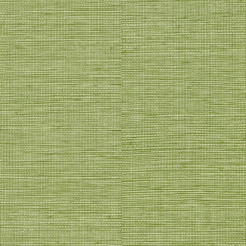 Papier peint intissé CURAÇAO coloris vert bambou