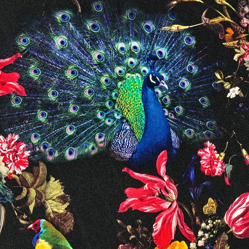 Papier peint intissé BLOOM PARADISE coloris multicolore