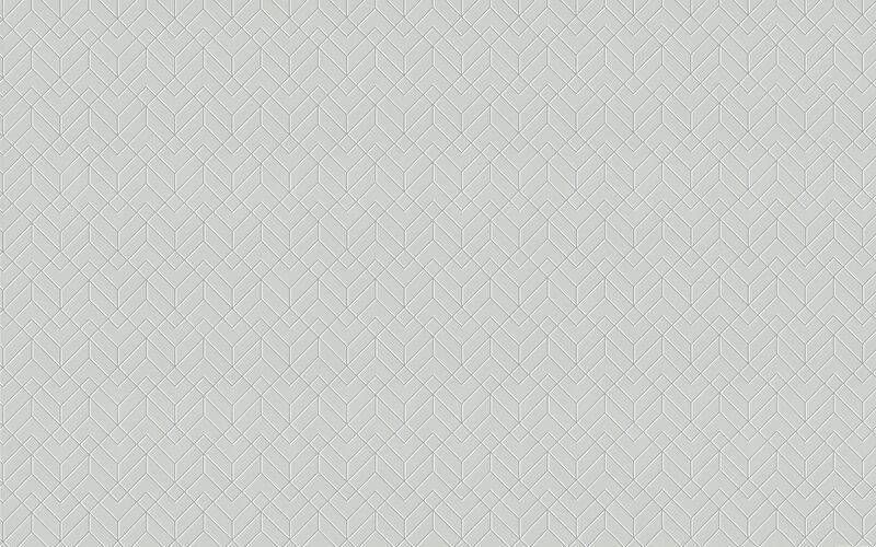 Papier peint intissé TELSA coloris gris perle