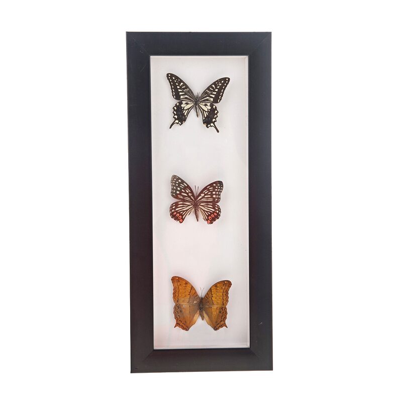 Tableau embelli MARIPOSSA coloris noir