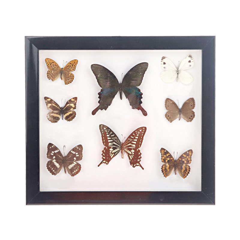 Tableau embelli MARIPOSSA coloris noir