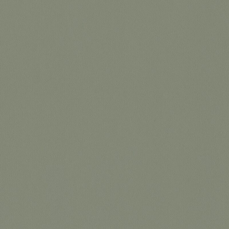 Papier peint intissé NEW INFINITY coloris kaki clair