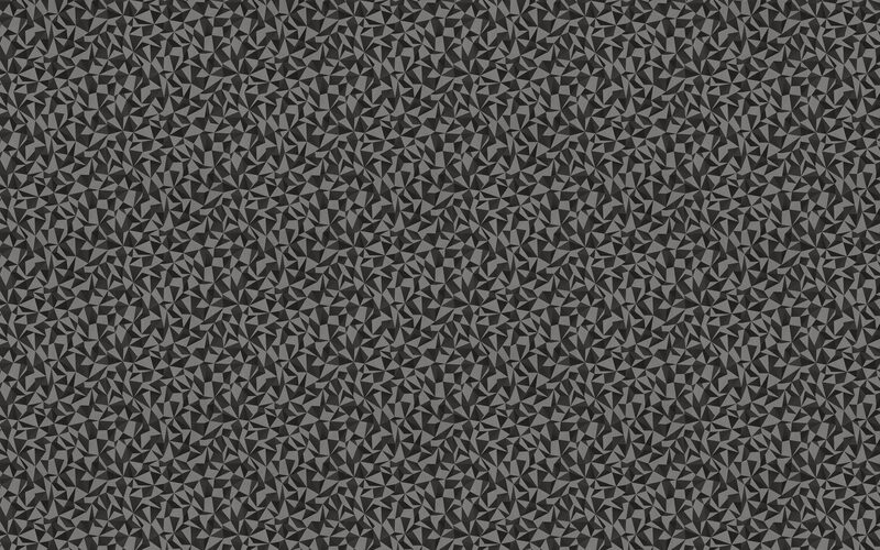 Papier peint intissé CHRYSALIS coloris noir