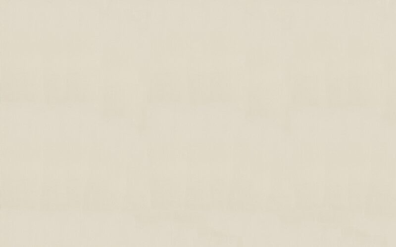 Papier peint intissé MILLENIUM coloris champagne