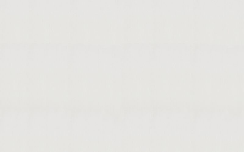Papier peint intissé MILLENIUM coloris blanc