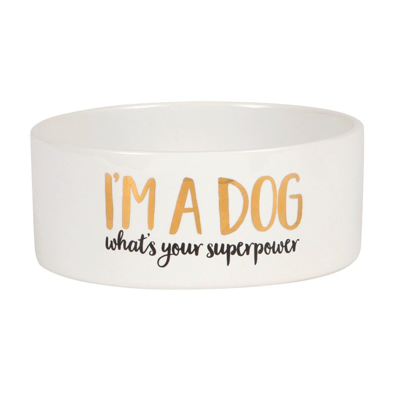 Gamelle SUPERDOG coloris multicolore