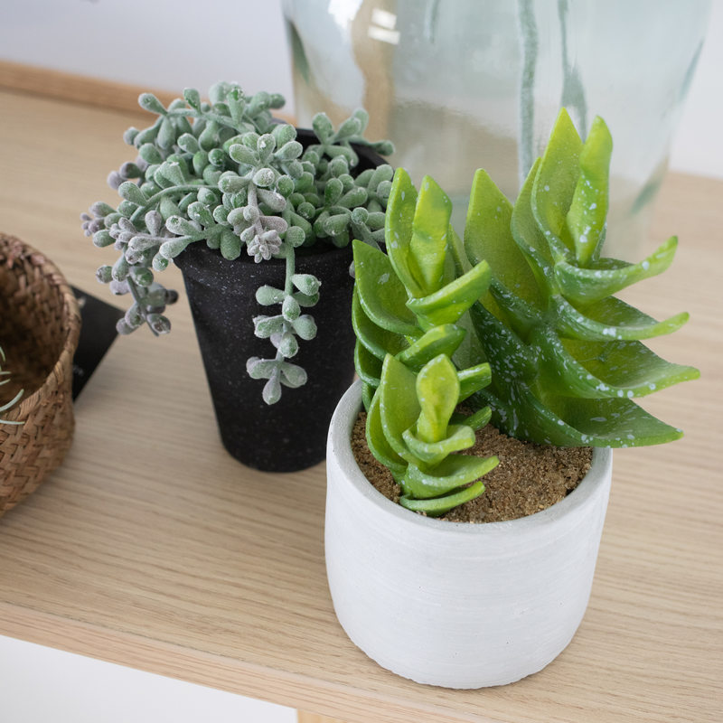 Plante artificielle ALOE KAYLEI coloris gris