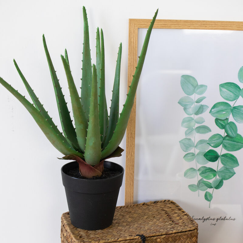 Plante artificielle ALOE coloris vert
