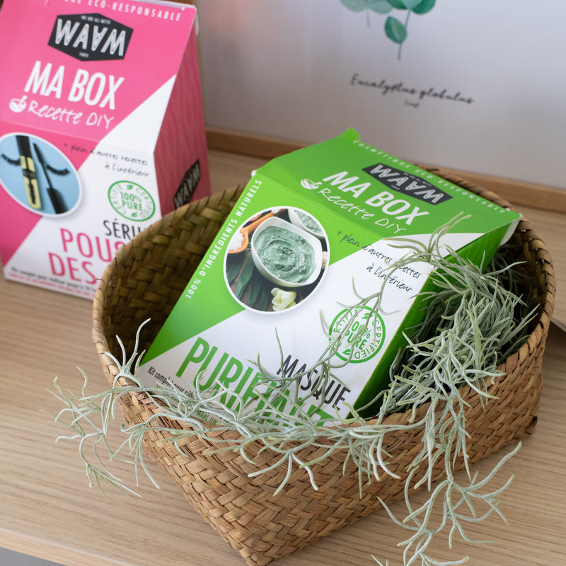 Coffret cosmétique KIT PURIFIANT