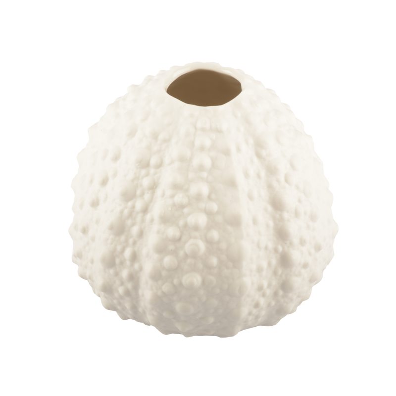Vase COMPTON BAY coloris blanc