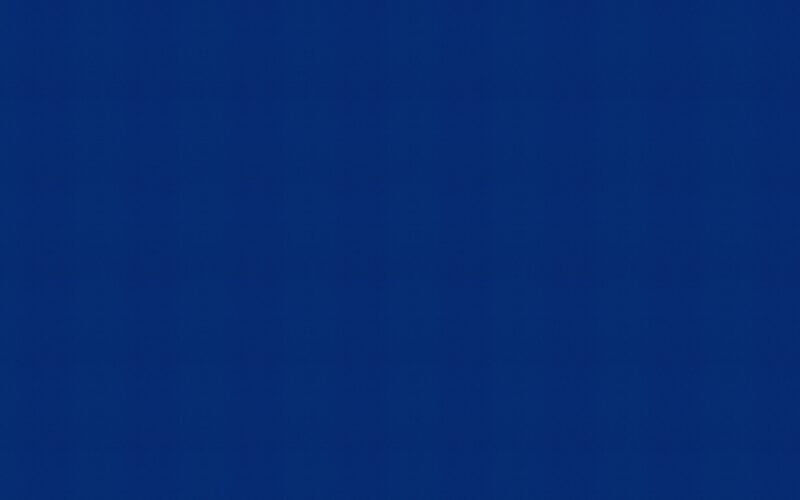 Papier peint intissé NEW COSY coloris bleu nuit