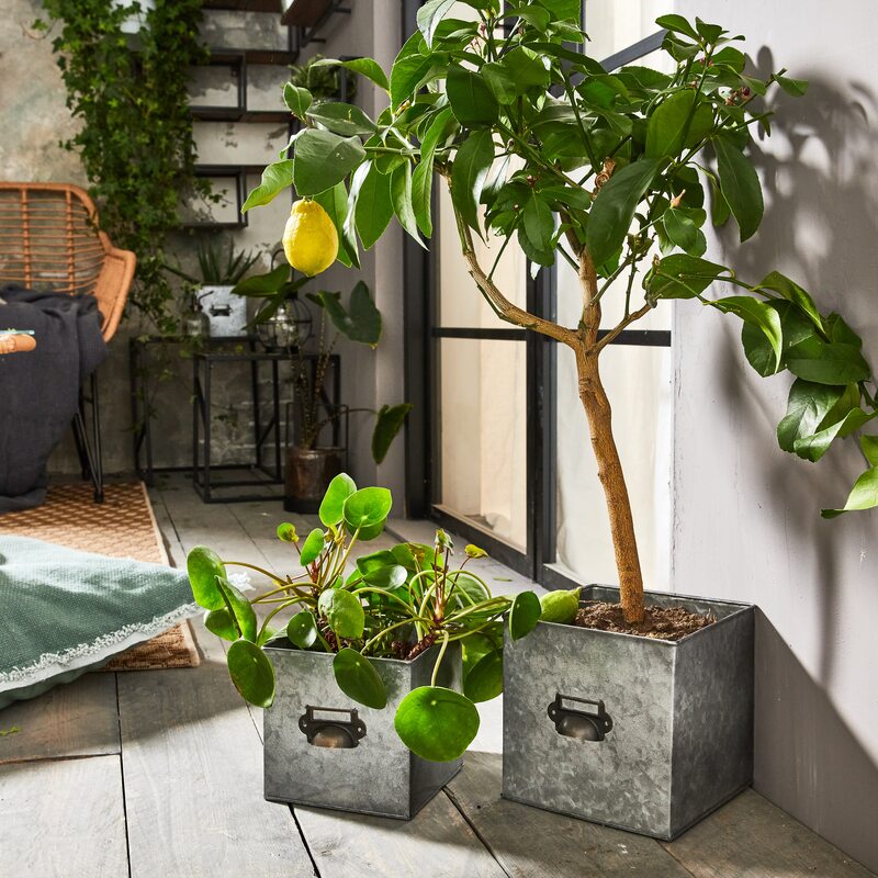 Cache-pot DEVON coloris gris