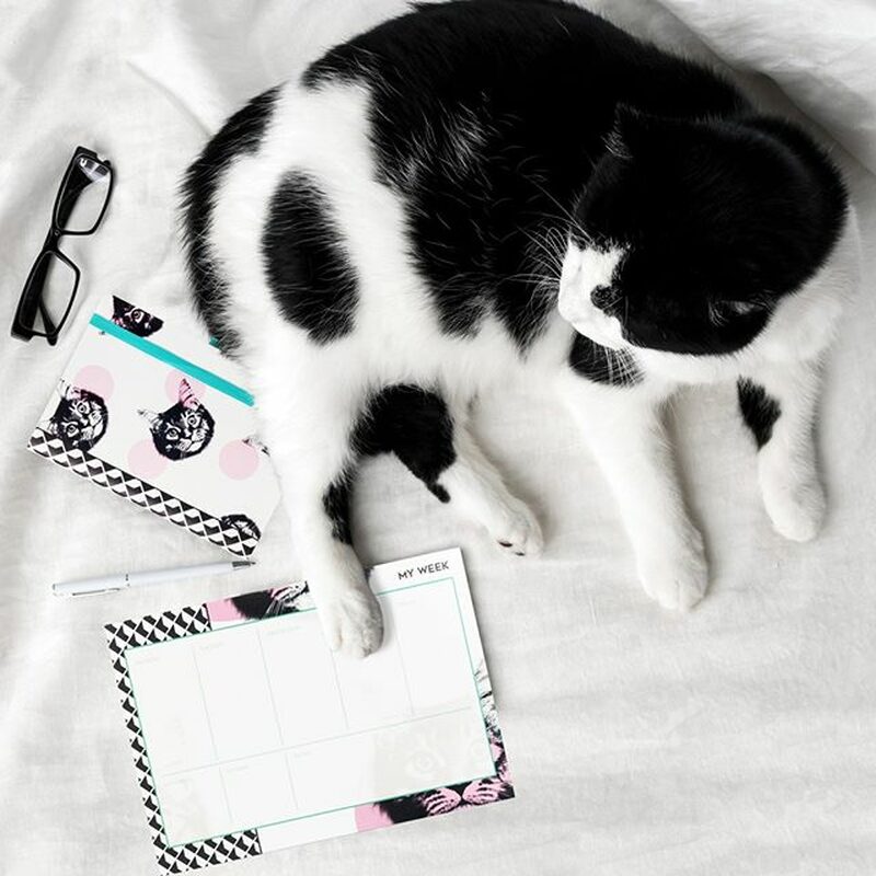 Semainier KITTY