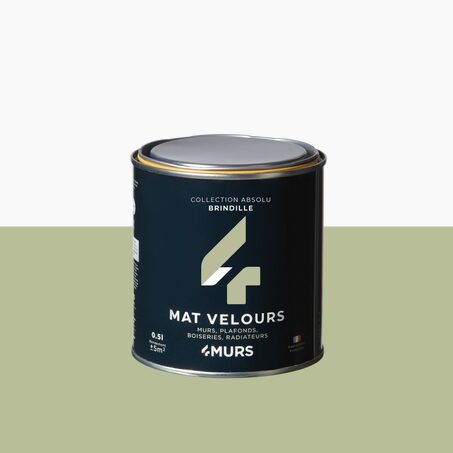 Absolu Peinture Finition Peinture brindille Mat 0,5 L