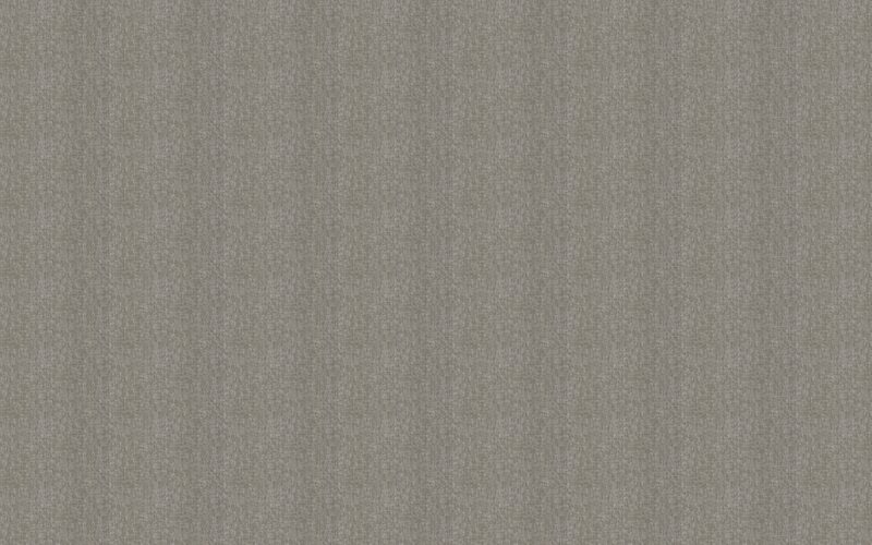Papier peint intissé SOLENE coloris taupe