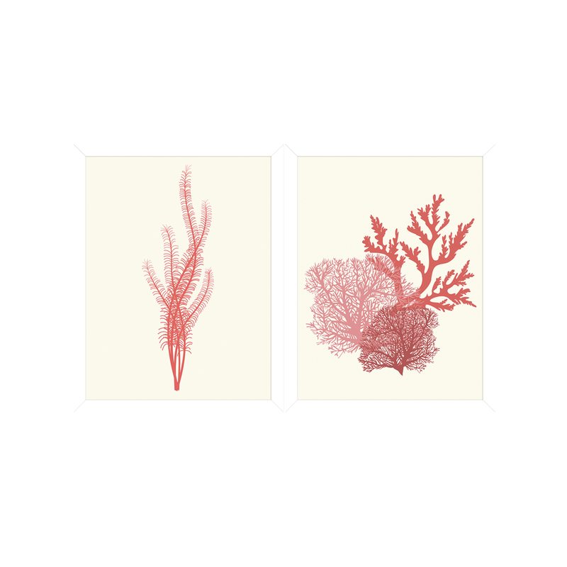Image sous verre ACROPORA 30 x 40 cm