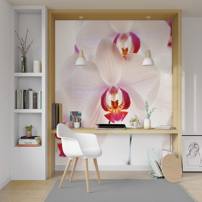 Papier peint panoramique L ORCHID FLOWERS 200 x 260 cm