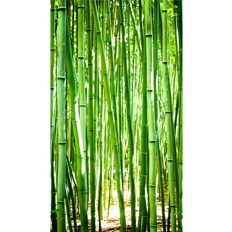 Papier peint panoramique L BAMBOO 159 x 280 cm