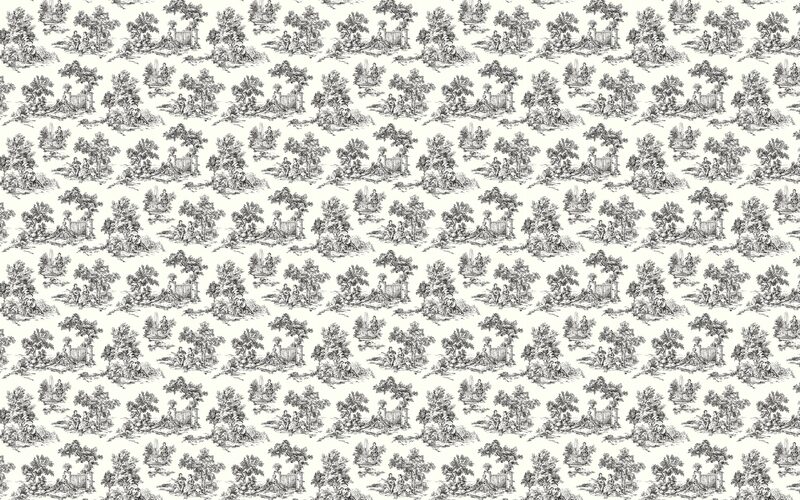 Papier peint intissé TOILE DE JOUY coloris noir