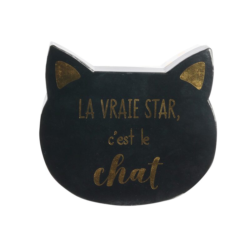 Boîte CAT coloris multicolore