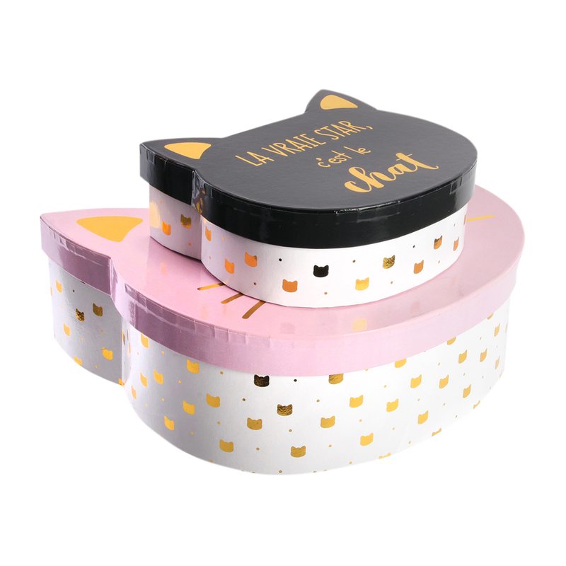 Boîte CAT coloris multicolore