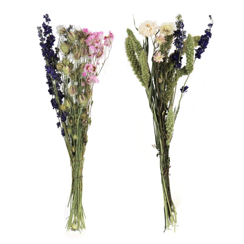 Fleurs séchées ELLIA coloris blanc, bleu et rose