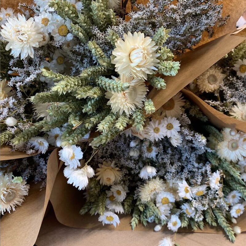 Fleurs séchées ELLIA coloris blanc, bleu et rose