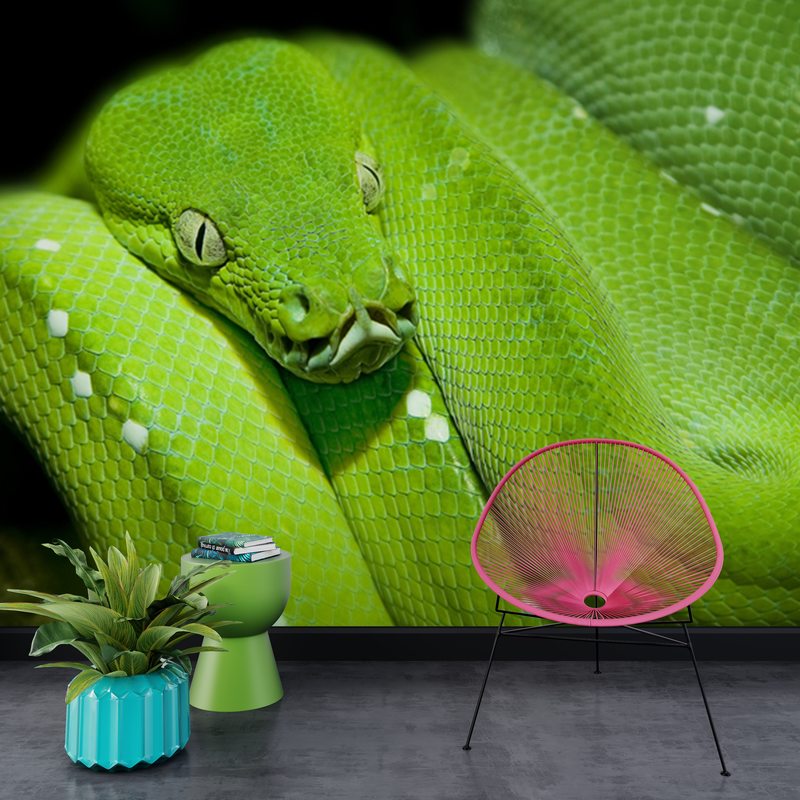 Papier peint panoramique XL GREEN SNAKE 300 x 250 cm