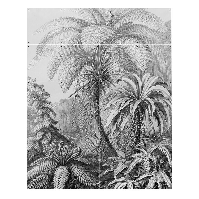 Panneau décoratif FERNS ERNST HAECKEL 80 x 100 cm