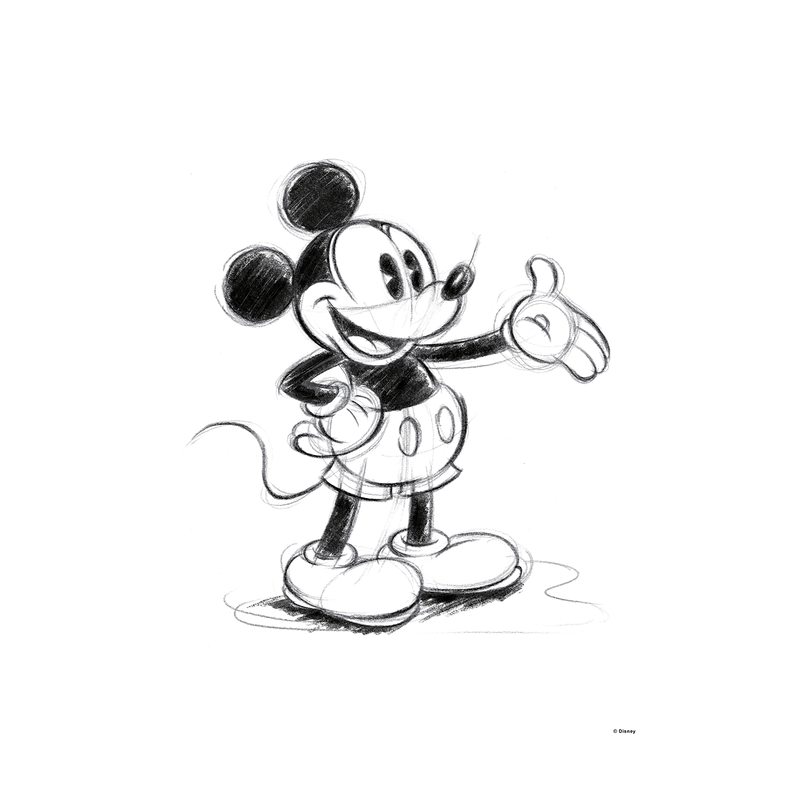 Toile imprimée MICKEY SKETCH 50 x 70 cm