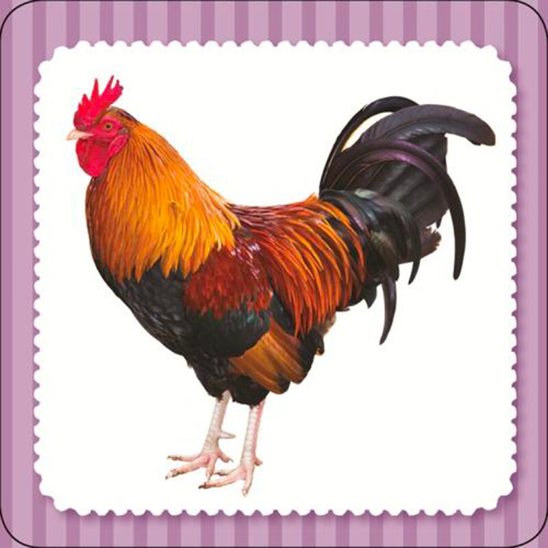 Jeu de discussion LE QUIZ LAROUSSE DES TOUTS-PETITIS