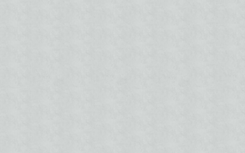 Papier peint intissé WINSTON coloris gris béton