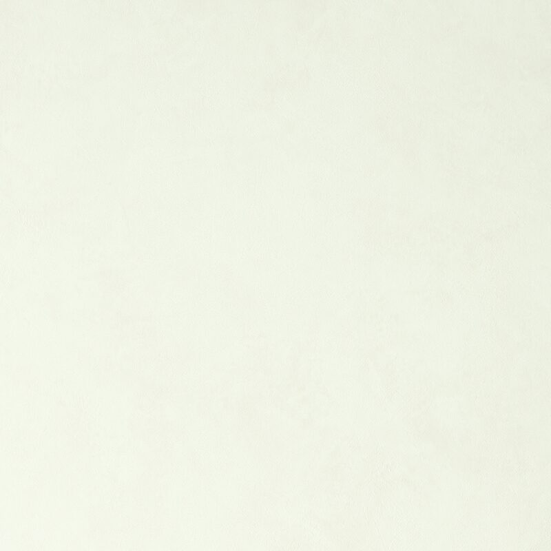 Papier peint intissé WINSTON coloris blanc perlé