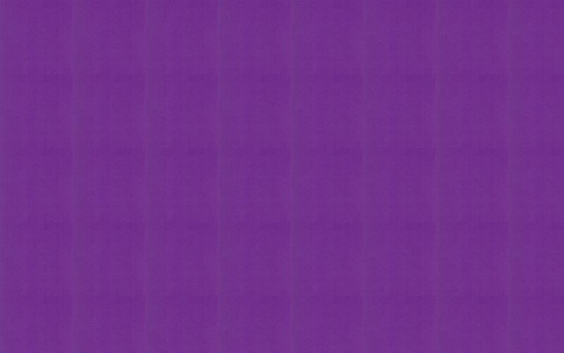Papier peint intissé NEW COSY coloris violet
