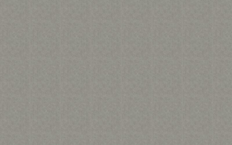 Papier peint intissé ESSENTIELLE coloris gris moyen