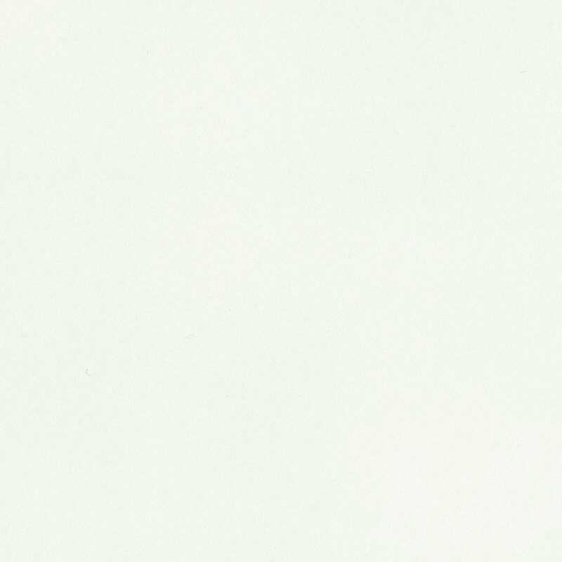 Papier peint intissé EASY coloris vert pâle