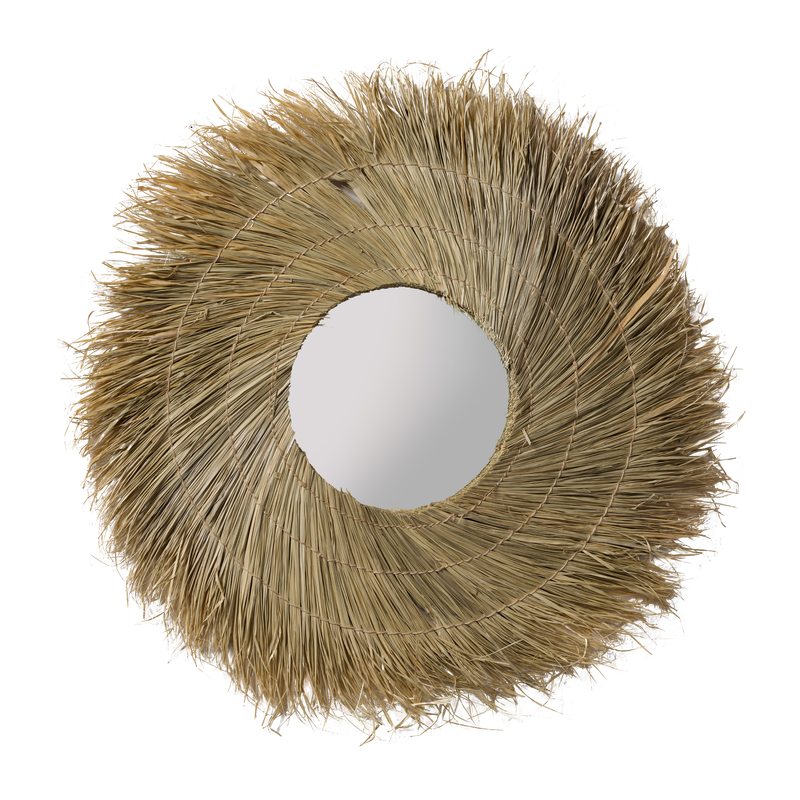 Miroir ARECACEAE