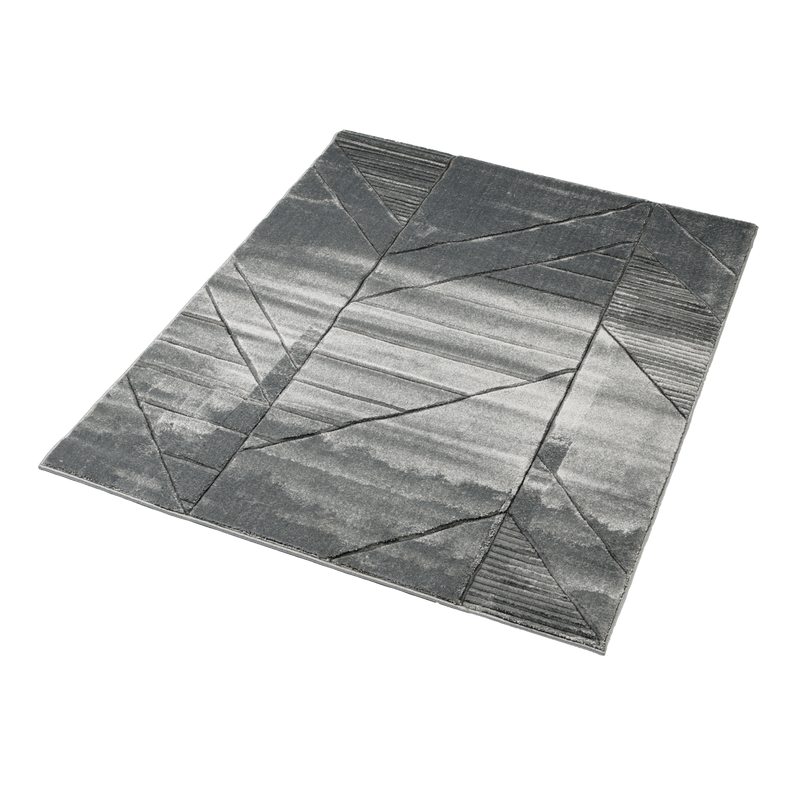 Tapis CLAUS coloris gris 150 x 200 cm